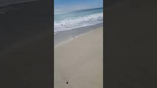 Authentic Sounds of Waves   #beach #philippines #nature #sand #aurora #oceansounds #kentot