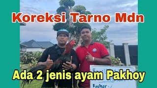 Tarno Mdn jelaskan ada 2 jenis pakoi