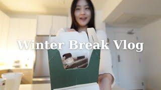 (kor/eng) winter break vlog | 겨울방학 브이로그 1탄 | 보스턴 대학생의 일상