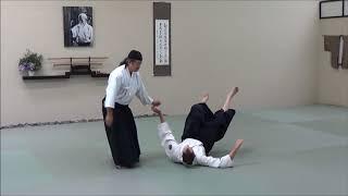 Aikido Seminar: HIKKO-MERU - Power of Retraction (Part 2)