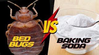 Does Baking Soda REALLY work for Bed Bugs?  [COMPLETE Tutorial]