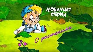 О РАСТЕНИЯХ - Сборник любимых серий