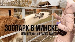 MINSK ZOO  meeting with SHERKHAN from Taigan Park 