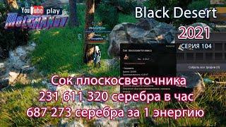 Сок плосковеточника. Black Desert Фарм серебра 2021. Лучница.