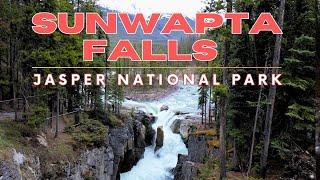 Roaring Beauty: Hiking Sunwapta Falls on the Columbia Icefield Parkway | Jasper National Park