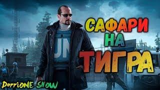 Escape from Tarkov Миротворец Квест Сафари на тигра(2020)