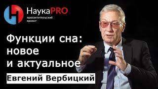 Функции сна: новое и актуальное | Сомнология и медицина сна – сомнолог Евгений Вербицкий | Научпоп