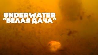 Карпфишинг Подводные съемки команды Carptoday waterwolf underwater camera / Трейлер!