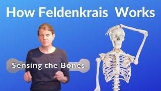 What is Feldenkrais? - 3 Principles by Annie Thoe