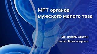 МРТ органов мужского малого таза