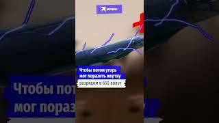 Как угорь вырабатывает электричество? #научныйминимум #угорь #рыбы #интересное