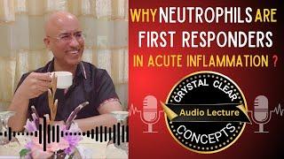 Neutrophils | Cells in Acute Inflammation | Audio Lecture