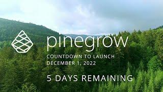 Pinegrow Countdown: Day 5 – Desktop or Plugin