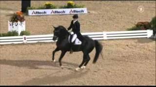 Totilas & Edward Gal WEG Grand Prix Freestyle