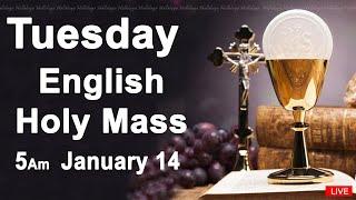 Catholic Mass Today I Daily Holy Mass I Tuesday January 14 2025 I English Holy Mass I 5.00 AM