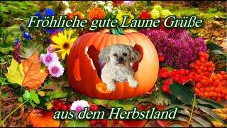 Fröhliche gute Laune Grüße ️ aus dem Herbstland 