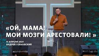 "Ой, мама! Мои мозги арестовали!" - Андрей Горновский, "Слово жизни", Санкт-Петербург