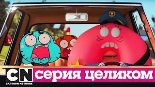 Гамбола | Закон + Аллергия (серия целиком) | Cartoon Network