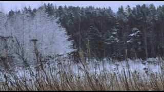 Robert Carpenter: A Sorta Fairytale (Tori Amos)