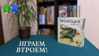 Эволюция Новый мир - играем втроем в настольную игру.