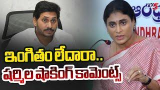 YS Sharmila Sensational Comments On YSRCP Social Media | YS Jagan | AP Politics | TV5 News