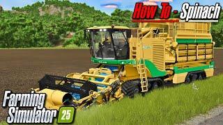 FS25 Tutorial - Spinach | Farming Simulator 25