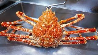 Japanese Food - GIANT SPIDER CRAB SASHIMI Uosei Shizuoka Seafood Japan