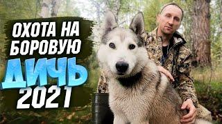 Открытие охоты 2021.Перепутал патрон.Жизнь в тайге.Глухариный оливье.