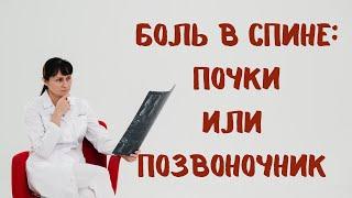 Боль в спине: почки или позвоночник? Отличия Доктор Лисенкова