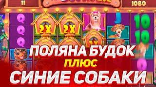 СЛОВИЛ ЛИНИЮ БУДОК И ПОЛЯНУ СИНИХ СОБАК В THE DOG HOUSE MEGAWAYS! УЛЬТРА МЕГА ЗАНОС 1000X+ / ЗАНОСЫ