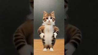 piu piu piu Cat Dance  #cat #cute #cartoon #cutecat #funny #shorts