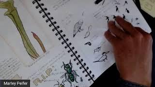Live Nature Journal Review and How to Index Your Nature Journal: The Nature Journal Show Live