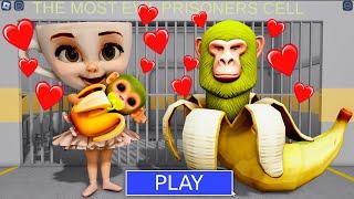 BALLERINA CAPPUCCINA WITH BABY SHIMPANZINI BANANINI! in BARRY’S PRISON RUN! New Cute Obby!