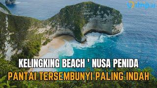 Keindahan Kelingking Beach, Surga Tersembunyi di Nusa Penida Bali yang Bikin Merinding 