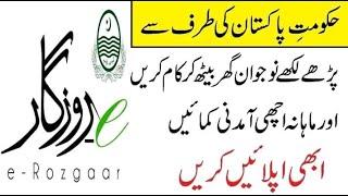 E-Rozgar Program | Training and Course | #Rozgarwala