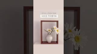 ️다이소 이건 보이면 무조건 쟁여야해요! 전 겨우 구했어요 #살림꿀템 #다이소