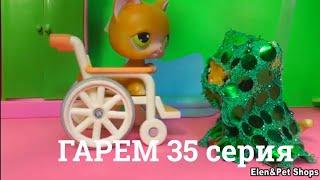 LPS: Гарем 35 серия