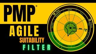 New PMP Exam Series #3: Business Task 4 (Support Organizational Change) #PMBOK #Agile