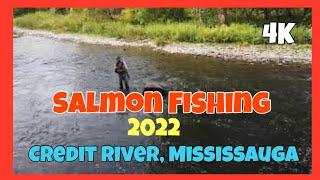 Salmon Fishing 2022 at Credit River, Erindale Park, Mississauga, Ontario