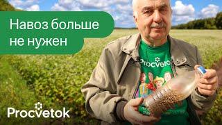 ГОРАЗДО ЛУЧШЕ НАВОЗА! Всего одно растение сделает почву плодородной, рыхлой и здоровой