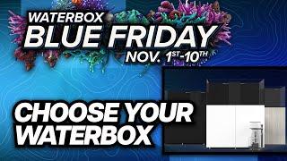 How to Choose Your Waterbox.