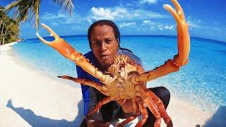 CATCH & COOK the biggest KING Crab  I ever seen