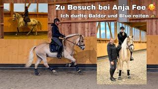 Haflinger reiten bei @anja_fee 