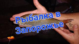 Запорожье Рыбалка на Днепре #рыбалка #запорожье #фидернаярыбалка #флетфидер @ИгорьЖуравлёв-й7р