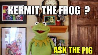 KERMIT THE FROG is SAM THE HAM ??  Q & A | SamTheHamTV