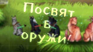 Посвящение в оружи!! прошёл ИС! || CatWar