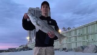 MULTI-SPECIES Fishing the Atlantic City JETTIES [3 New Species]