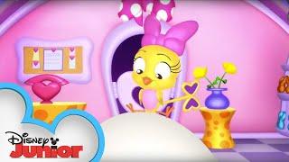 Cuckoo-Loca's Egg-celent Adventure | Minnie's Bow-Toons | @disneyjr