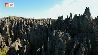 Tsingy de Bemaraha Strict Nature Reserve (Madagascar) / TBS