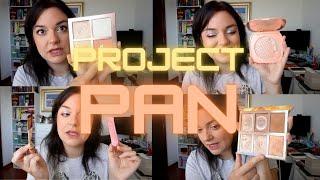 Project Pan | update 7! #projectpan